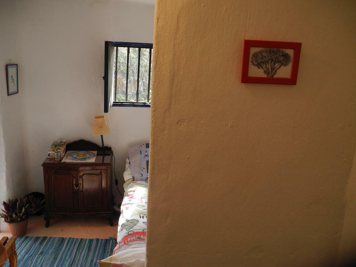 Camino Art House Apartamento Vega de San Mateo Exterior foto